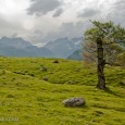 El próximo 11 de Marzo y dentro de la XVI Semana de Montaña organizada por el Club de Montaña Exea,...