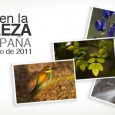 Un día en la naturaleza de España Fotonatura ha querido organizar un concurso colectivo bajo el título ” Un día en la naturaleza de España“, que se...