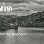 Aragon en la retina