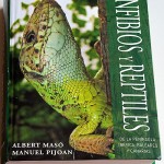 anfibios_reptiles