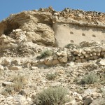 Abejar en zona de yesos