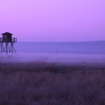 Amanecer en la laguna de Gallocanta