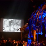 P1050680