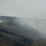 Quema de campos de arroz despues de la cosecha.