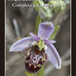 Portada de "Orquídeas del Moncayo"